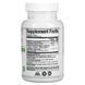 Syntol, a probiotic enzyme based on Arthur Andrew's spores (Syntol), 90 capsules