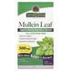 Mullein leaf, 500 mg, 90 vegetarian capsules