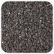 Organic Nigella Seeds, Starwest Botanicals, 1 Pound