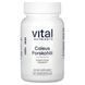 Vital Nutrients, Coleus Forskohlii, 60 Vegan Capsules фото