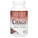 Chaga full spectrum, Planetary Herbals, 1000 mg, 120 tablets