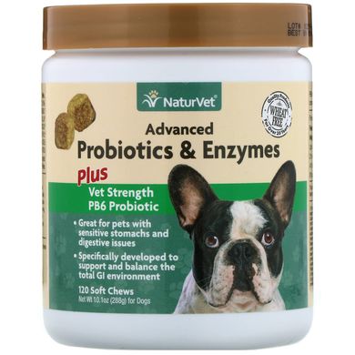 Покращені пробіотики і ферменти, а також пробіотик Vet Strength PB6 для собак, NaturVet, 120 жувальних таблеток