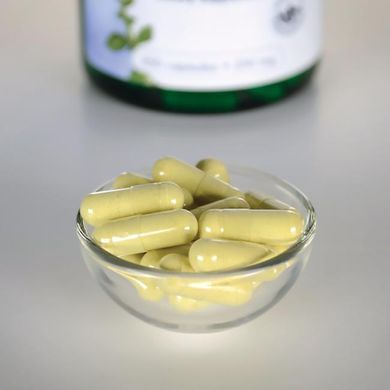 Рутин, Rutin, Swanson, 250 мг, 250 капсул купить в Киеве и Украине