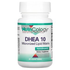 ДГЕА 10, DHEA 10, Nutricology, 60 таблеток з насічкою