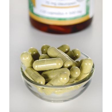 Екстракт листя оливи, Olive Leaf Extract, Swanson, 500 мг, 120 капсул