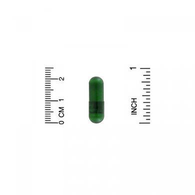 Эхинацея California Gold Nutrition (Echinacea EuroHerbs) 400 мг 60 капсул купить в Киеве и Украине