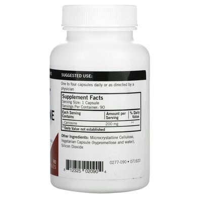 L-карнозин Kirkman Labs (L-Carnosine) 200 мг 90 капсул