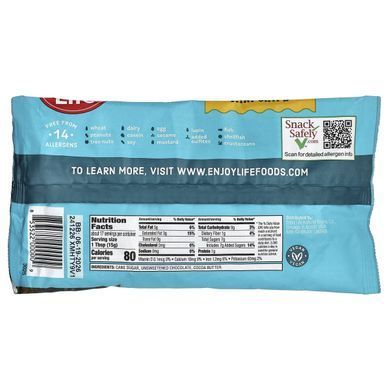 Enjoy Life Foods, 100% Real Chocolate Mini Chips, Semi-Sweet, 9 oz (255 g)