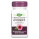 Эхинацея с витамином С Nature's Way (Echinacea & Vitamin C) 492 мг 100 капсул фото