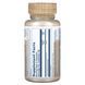 Fermented Reishi mushrooms organic 500 mg 60 vegetarian capsules