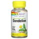 Кульбаба, вирощена з використанням органічних методик, Organically Grown Dandelion, Solaray, 520 мг, 100 капсул фото