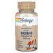 Fermented Reishi mushrooms organic 500 mg 60 vegetarian capsules