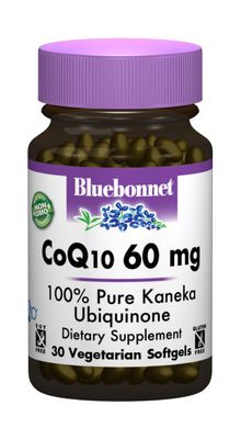 Коэнзим Q10, Bluebonnet Nutrition, 60 мг, 30 желатиновых капсул купить в Киеве и Украине