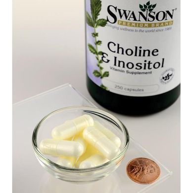 Холин и инозит, Choline & Inositol, Swanson, 250 капсул купить в Киеве и Украине
