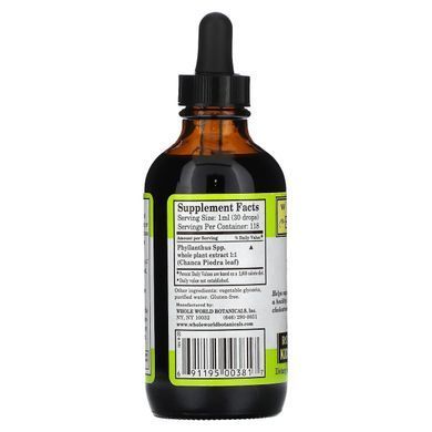 Добавка для підтримки нирок і сечового міхура Whole World Botanicals (Kidney-Bladder Support) 118 мл