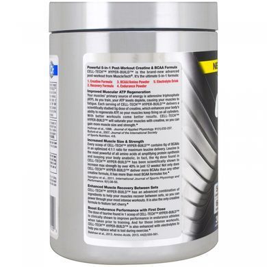 Recovery after workout blue raspberry flavor 482 g