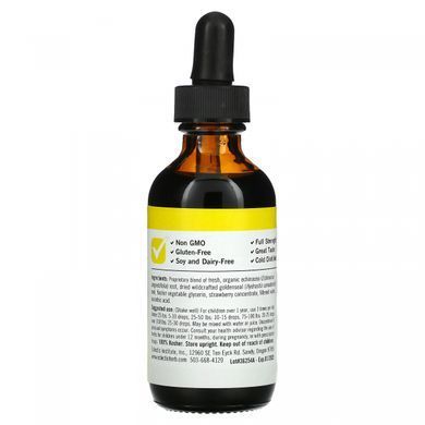 Echinacea Goldenseal for Children Eclectic Institute 60 ml