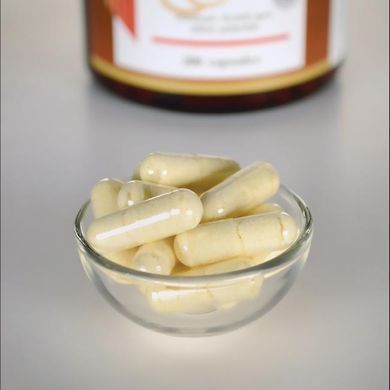 Чеснок с лецитином Swanson (Garlic with Lecithin) 200 капсул купить в Киеве и Украине