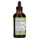 Добавка для підтримки нирок і сечового міхура Whole World Botanicals (Kidney-Bladder Support) 118 мл фото