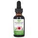 Echinacea, Alcohol-Free Extract at 99.9%, Natures Way, 1 Liquid Ounce (30 ml)