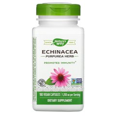 Эхинацея органик Nature's Way (Echinacea) 1200 мг 180 капсул купить в Киеве и Украине