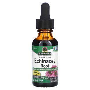 Nature's Answer, Echinacea Root, Fluid Extract, Alcohol-Free, 1,000 mg, 1 fl oz (30 ml) купить в Киеве и Украине