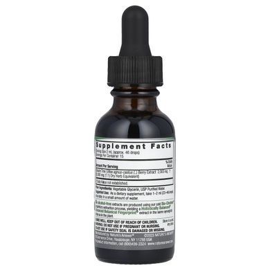 Holy Vitex alcohol-free Natures Answer (Vitex) 2000 mg 30 ml