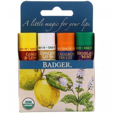 Бальзами для губ синя коробка Badger Company (Lip Balm Sticks) 4 стіки по 4.2 г кожен