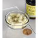 Генистеин из софоры японской Swanson (Genistein from Sophora Japonica) 125 мг 60 капсул фото