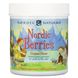 Nordic Berries, мультивитаминные жевательные конфеты, оригинальный вкус, Nordic Naturals, 120 ягод-жевательных конфет фото