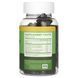 Nobi Nutrition, Жиросжигающие жевательные таблетки с зеленым чаем, 60 жевательных таблеток на основе пектина фото
