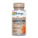 Cordyceps Mushroom Extract 500mg - 60 vcaps Solaray фото