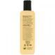 Natural shampoo with biotin and peptides, phase I, Biotene H-24, 8.5 fluid ounces (250 ml)