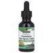 Holy Vitex alcohol-free Natures Answer (Vitex) 2000 mg 30 ml