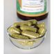 Пиретрум екстракт, Feverfew Extract, Swanson, 500 мг, 60 капсул фото