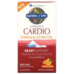 Рыбий жир Кардио Омега-3, со ароматом апельсина, Minami Nutrition, 60 мягких таблеток купить в Киеве и Украине