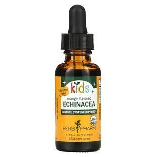 Эхинацея для детей, без спирта, со вкусом апельсина, Herb Pharm, 1 жидкая унция (30 мл) купить в Киеве и Украине