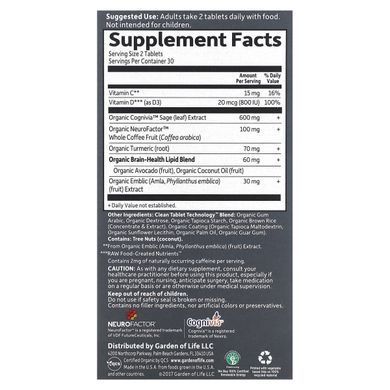 Garden of Life, Dr. Formulated for Brain, Memory and Concentration for Youth, 60 Vegetarian Tablets