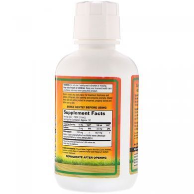 Chlorophyll with Liquid Aloe Vera Juice, Natural Mint Flavor, Dynamic Health Laboratories, 100 mg, 473 ml