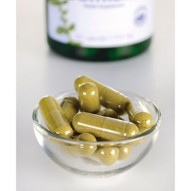 Листья Дамианы Swanson (Damiana Leaves) 510 мг 100 капсул купить в Киеве и Украине
