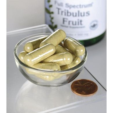 Трибулус, Full-Spectrum Tribulus Fruit, Swanson, 500 мг, 90 капсул