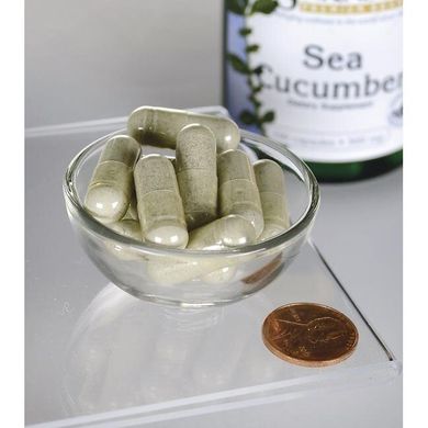 Морской огурец, Sea Cucumber, Swanson, 500 мг, 100 капсул купить в Киеве и Украине