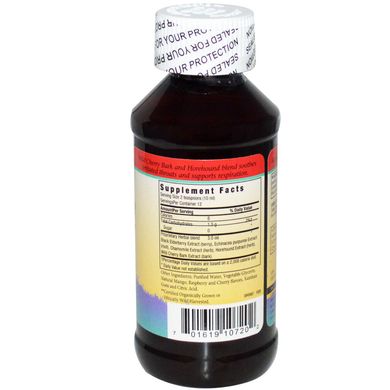 Herbs for Kids, Elderberry Syrup, Cherry-Berry, Sugar Free, 4 fl oz (118 ml)