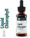 Рідкий хлорофіл, Chlorophyll, Genestra Brands, 25 мг, 30 мл фото