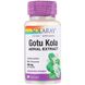 Экстракт Готу Кола, Gotu Kola, Solaray, 250 мг, 60 вегетарианских капсул фото