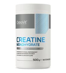 OstroVit-Креатин Creatine Monohydrate OstroVit 500 г Кавун купить в Киеве и Украине