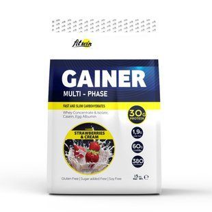 Gainer - 1500g Strawberry and Cream FitWin купить в Киеве и Украине