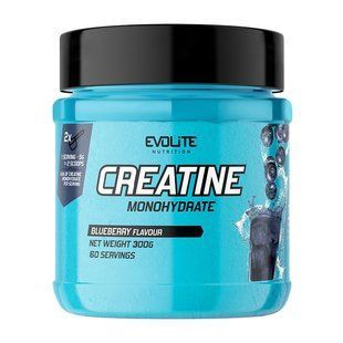 Evolite Nutrition, Creatine Monohydrate, 300 g, blueberry купить в Киеве и Украине