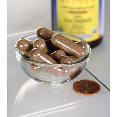 Органический экстракт полифенолов какао, Organic Cocoa Polyphenols Extract, Swanson, 700 мг, 30 капсул купить в Киеве и Украине