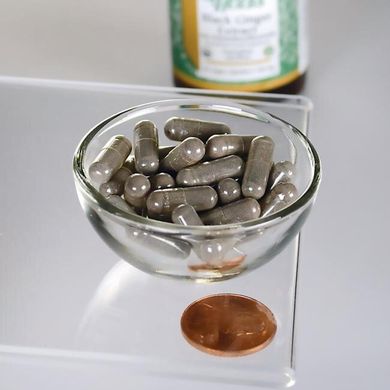 Экстракт черного имбиря Swanson (Black Ginger Extract) 100 мг 30 капсул купить в Киеве и Украине